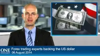 Forex trading experts backing the US dollar