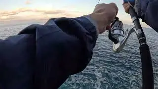 Amberjak on ShoreJigging - Greece  Kassandra - 2025