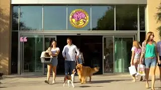 Pet Discounts - Australia's Discount Pet Store