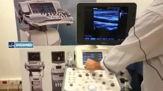 Tutorial DC-7 Vascular