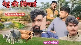 गेहूं की सिंचाई ||  Happy New Year ||अवधी भोजपुरी कॉमेडी @prkwale
