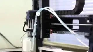 Living kidneys printed out in E China