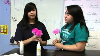 Harmony Science Academy - CHEMISTRY Acid - Base Indicators 1