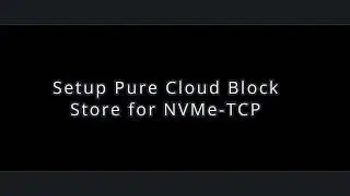 Elastic VMware Service and Pure Cloud Block Store NVMe-TCP Setup Demo