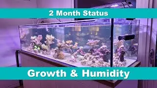 33 - 2 Months Status, 15th Reef Build (Growth and Humidity)