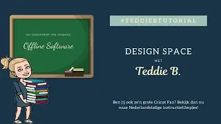 Offline Software  - Design Space met Teddie B.