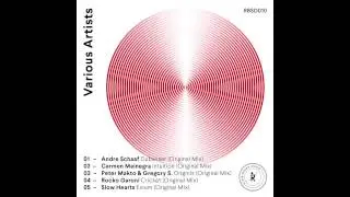 Carmen Mainegra - Intuition (Original Mix) / Ritter Butzke Studio Data 010