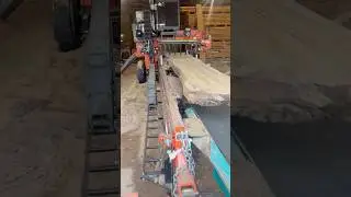 Woodmizer LT70 super wide with incline conveyor and transfer deck.  Cutting some nice black walnut