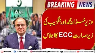 ECC Meeting Chaired by Finance Minister Muhammad Aurangzeb | Breaking News | Aik News HD