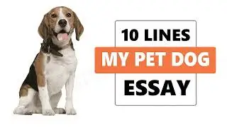 My Pet Dog Essay 10 lines | 10 Best lines on My Pet Dog in English
