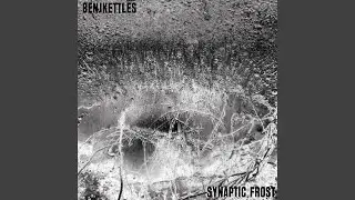 Synaptic Frost