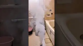 Mold-Free Bathroom Hack! Japanese Smoke Bomb Cleaner &ndash; No Scrubbing Needed!