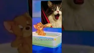 Banyoda fare var🐱🐭 #funny #cat #catvideos#mouse#mousevideo #mousevscat