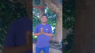 Bixiriqaa Tube hordofaa