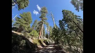 Chill folk background music #ambiance #background #folkmusic #instrumental