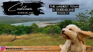 EP_27 Assistance Animal @ Cooktown QLD                                     INTRASTATE BORDER CHECK!!
