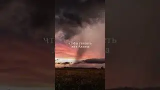 Не забудьте сделать дуа за наших братьев и сестёр в Палестине 🇵🇸🤲🏻 #islam #allah #ислам #аллах  #☝️