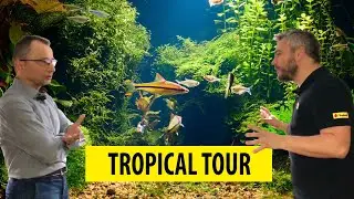 TROPICAL TOUR | Visiting aquarists/Z wizytą u akwaryst&oacute;w - Krzysztof Śledź (ENG SUB)