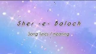 Sher E Baloch Song Lyrics / Meaning !! Dhurnder movie song !! Akshay khanna Entry song