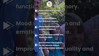 Benefits of Kottakal Ayurveda Manasamitra Vatakam #Indiangoods