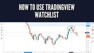 How To Use TradingView Watchlist