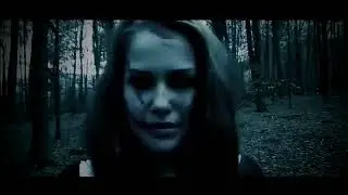 PINDROPS - GEIST