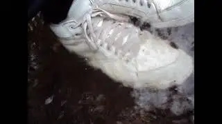 MOV01614