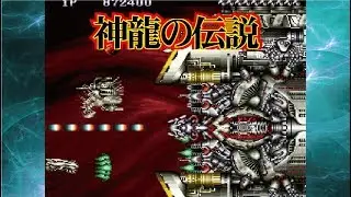Saint Dragon 天聖龍 セイントドラゴン Arcade cheat アーケード チート