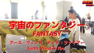 【都庁ピアノ】宇宙のファンタジーFantasy / アース・ウィンド・アンド・ファイアーEarth, Wind & Fire【Piano Solo】EW&F アース・ウィンド＆ファイアー EWF