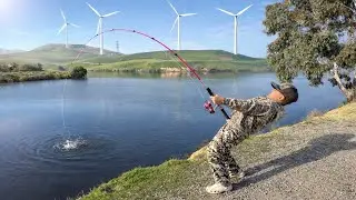 Fishing at Clifton Court & Bethany Reservoir Delta #fishing  