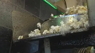 Pop in for a good time at the Casey Popcorn Festival