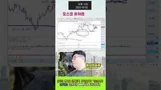 ☑️포스코 퓨처엠 대응방법