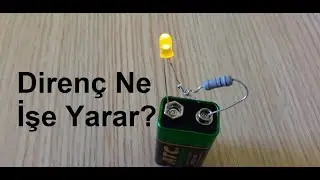 DİREN&Ccedil; NE İŞE YARAR?