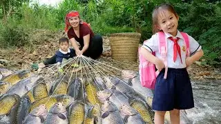 Clean Wild Stream Fish- Catching to Sell | Perfect Fishing Day of Chuc Duong Family | Village Life