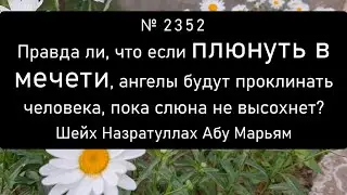 Правда ли, что если плюнуть в мечети, ангелы будут проклинать человека, пока слюна не высохнет?