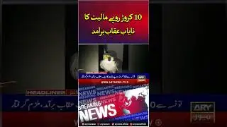 Rare eagle worth Rs 100 million recovered in Punjab #arynews #rareeagle #eagle #breakingnews