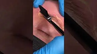 HD Brow Lamination