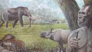 Forests drove megafauna and ancient human extinctions in Southeast Asia