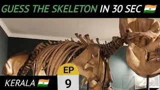 Konni Elephant Museum - Pathanamthitta 🇮🇳