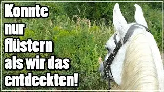 Konnte nur flüstern als wir das entdeckten beim Wanderritt mit meinem Freund
