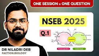 NSEB 2025 Paper Discussion &ndash; Question 1 | ND Sir | INBO MasterClass | Olympiad Prep