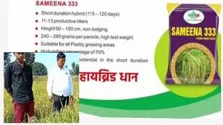 गोदरमाना, गढ़वा (झारखंड) में शानदार पैदावार | समीना 333 इस बार के खरीफ सीजन में जरूर लगाएं | Harlal