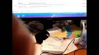 5G VINNI Live Stream