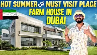 Farm House Vlog 2025 - Farm House Tour #farmlife #summer #place #visiting #best #swimming #pool #dxb