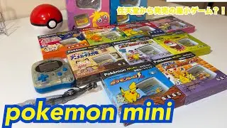【ゲーム紹介】任天堂から発売された幻のゲーム？！🎮