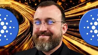Swiss VC Firm Launches Cardano Accelerator! Angry Crypto Reacts