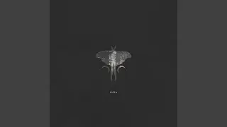 Lantern