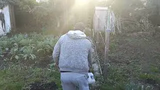 Am erbicidat iarba din gradina