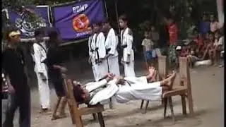 Bela Diri Macan Putih ( BDMP)
