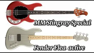 Fender Flea Active / Music Man Stingray Special (Aeroplane - RHCP -  bass solo)